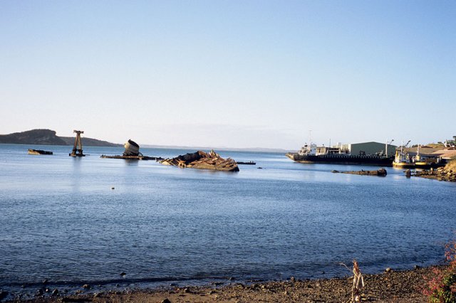 Photograph