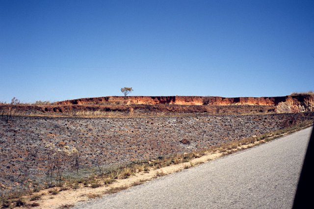 Photograph